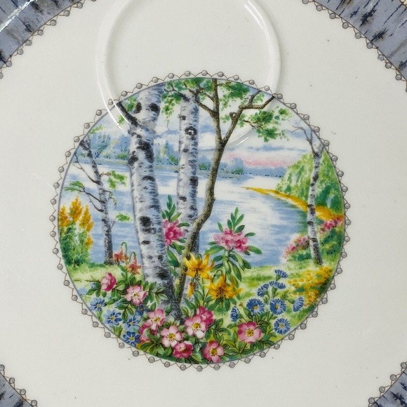 Vtg ROYAL ALBERT England SILVER BIRCH pattern handled snack plate 9" Bone China - Picture 2 of 7